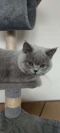 Wir müssen uns leider schweren Herzens von der kleinen