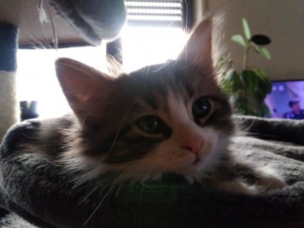 Unsere kleinen dürfen besucht und reserviert werden.