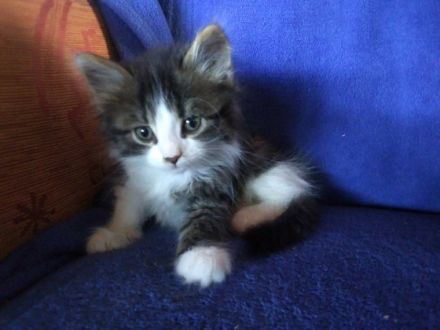 Unsere kleinen dürfen besucht und reserviert werden.