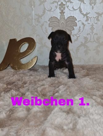 Guten Tag, Unsere OEB Dame hat am 18.03.22. 7