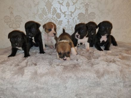 Guten Tag, Unsere OEB Dame hat am 18.03.22. 7