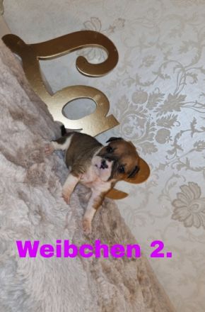 Guten Tag, Unsere OEB Dame hat am 18.03.22. 7