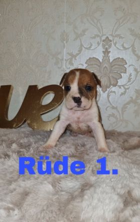 Guten Tag, Unsere OEB Dame hat am 18.03.22. 7