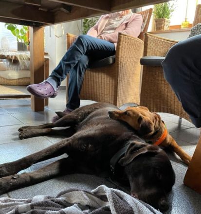 Allen Ginsberg, Der süße Allen ist ein hübscher