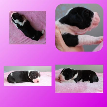 ***Aktuelle Bilder sind auf der Homepage zu finden -