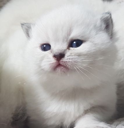 Unsere Paulina hat uns 5 Schöne Points ins Nest gelegt.