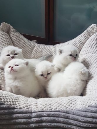 Unsere Paulina hat uns 5 Schöne Points ins Nest gelegt.