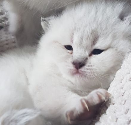 Unsere Paulina hat uns 5 Schöne Points ins Nest gelegt.