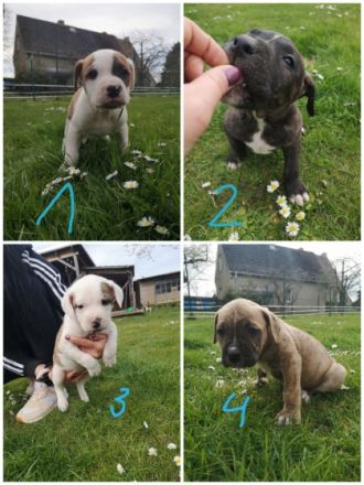 Am 11. März haben unsere kleinen Knutschkugeln das