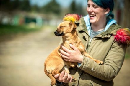 Picur Alter: ca. 5 Monate (Stand: 22.04.2022)