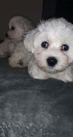 Huhu! Unsere Lieblinge haben Nachwuchs bekommen und