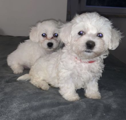 Huhu! Unsere Lieblinge haben Nachwuchs bekommen und