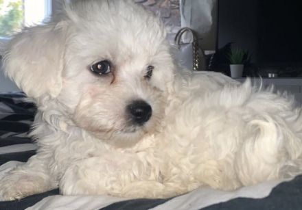 Huhu! Unsere Lieblinge haben Nachwuchs bekommen und