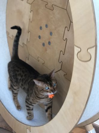 Wotan und Walli, Hallo ihr Lieben, schweren Herzens