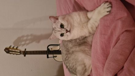 Unser Bal?m hat 5kleine Mäuse auf die Welt gebracht sie