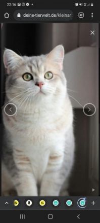 Unser Bal?m hat 5kleine Mäuse auf die Welt gebracht sie