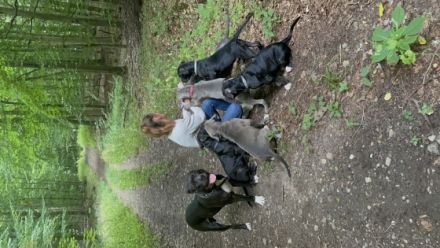 ABGABEBEREIT!!! Am 19.4.2022 hat unsere Bonnie 10