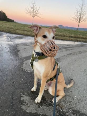 Siehe Video: https://www.dropbox.com/s/rjnaocqvy5c8r8x