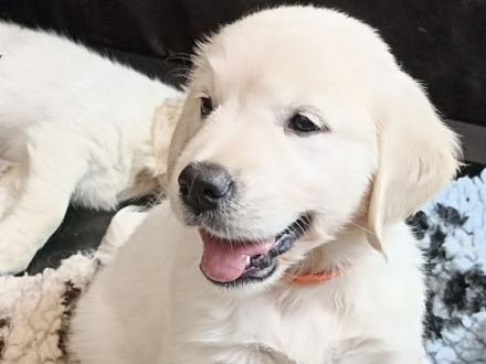 v.d.clear-water-ranch