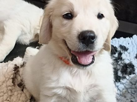 v.d.clear-water-ranch