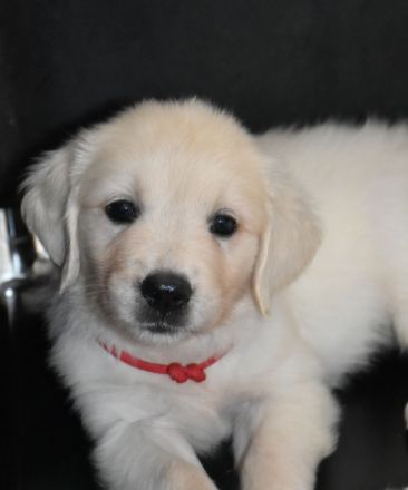 v.d.clear-water-ranch