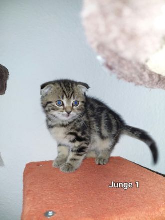 Hallo liebe Tierfreunde, wir haben am 08.02.2022