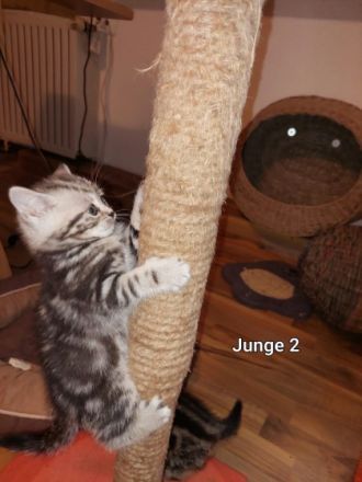 Hallo liebe Tierfreunde, wir haben am 08.02.2022