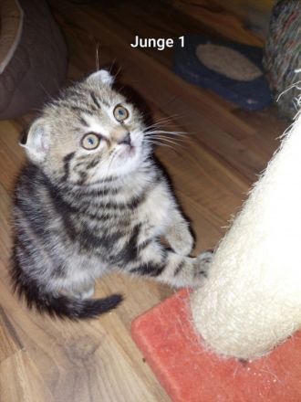 Hallo liebe Tierfreunde, wir haben am 08.02.2022