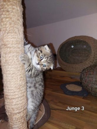 Hallo liebe Tierfreunde, wir haben am 08.02.2022