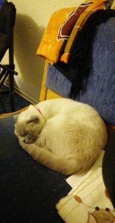 Luna, Schweren Herzens müssen wir uns von unserer 2