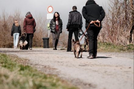 Bunte Hunde - Training & Verhaltenstherapie