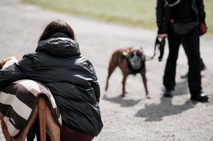 Bunte Hunde Training & Verhaltenstherapie