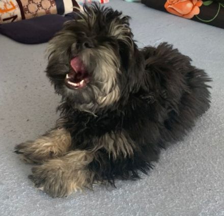 Leider müssen wir den kleinen Strolch wieder hergeben.