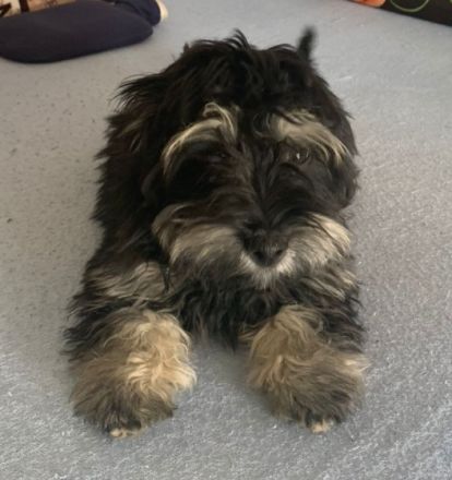 Leider müssen wir den kleinen Strolch wieder hergeben.