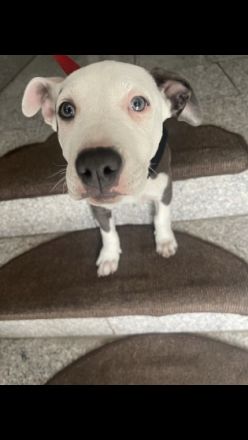 Bei weitere Fragen stehe ich gerne zur Verfügung