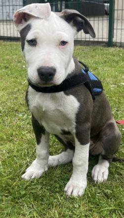 Bei weitere Fragen stehe ich gerne zur Verfügung