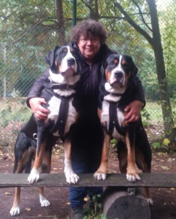 Wir haben Welpen. Bei Abgabe entwurmt, geimpft und mit