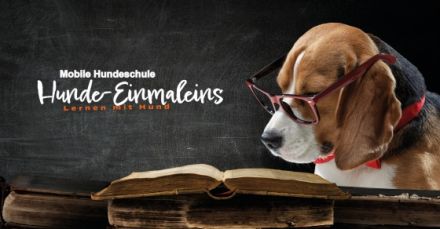 Hunde-Einmaleins Christiana Gramlich