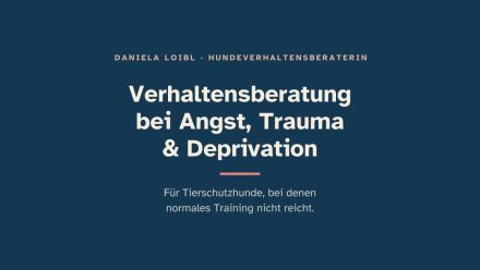 Daniela Loibl - Verhaltensberatung für Tierschutzhunde