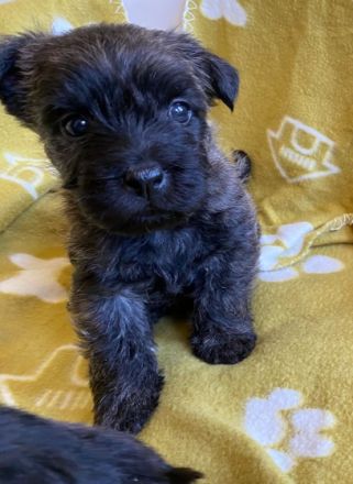 Wir (1R/5H) sind am 03.04.22 auf die Welt gepurzelt und