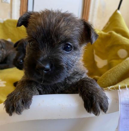 Wir (1R/5H) sind am 03.04.22 auf die Welt gepurzelt und