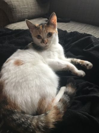 Klausi und Bärbel (beides weibchen)