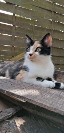 Klausi und Bärbel (beides weibchen)