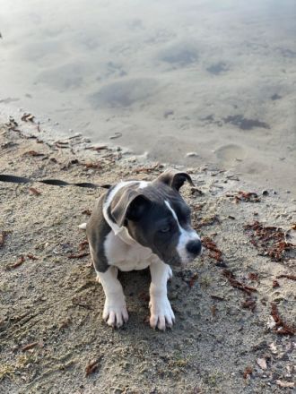 Hallo, mein Name ist Milow. Ich bin noch nicht ganz ein