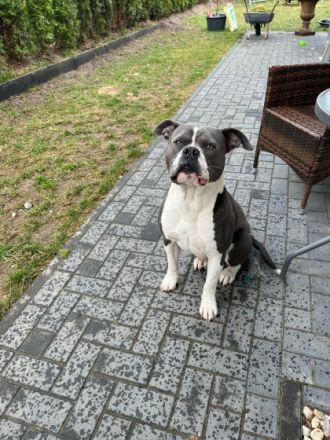 Hallo, mein Name ist Milow. Ich bin noch nicht ganz ein