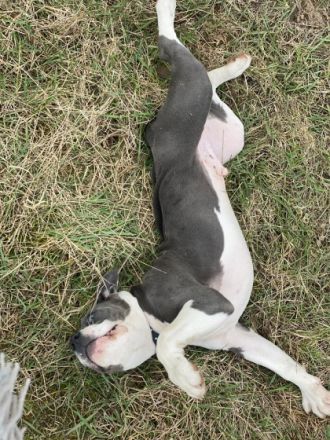 Hallo, mein Name ist Milow. Ich bin noch nicht ganz ein