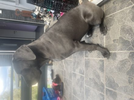 Mein Name ist Ronja bin 8 Monate alt. Bin in einem