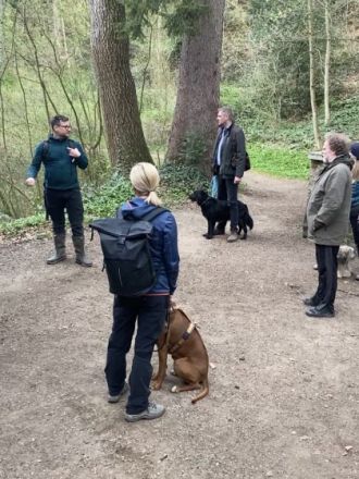 Hundeschule Nasenblick