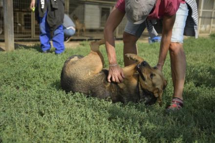 Pandora sucht Euren Halt