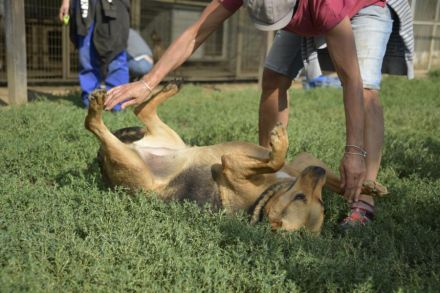 Pandora sucht Euren Halt